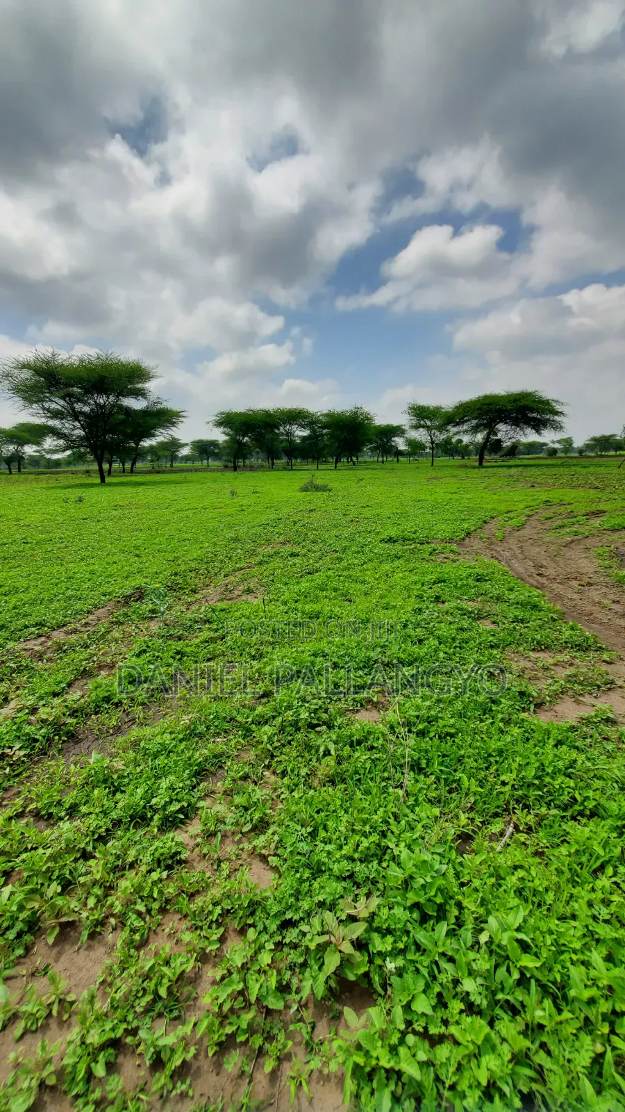Sale Ya East Africa Arusha Badoo Inaendelea