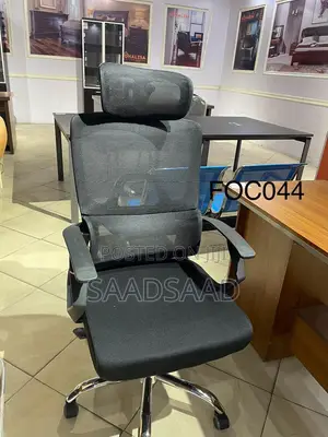 Ergonomic Chair