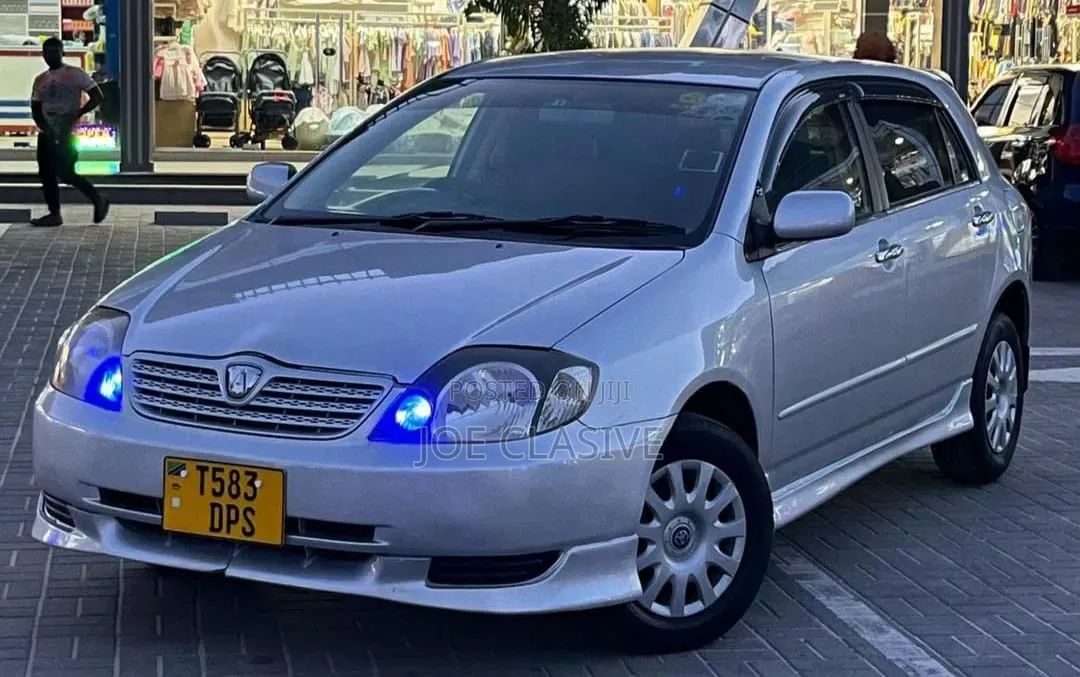 Toyota Allex 2002 Silver