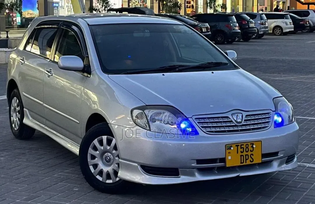 Toyota Allex 2002 Silver