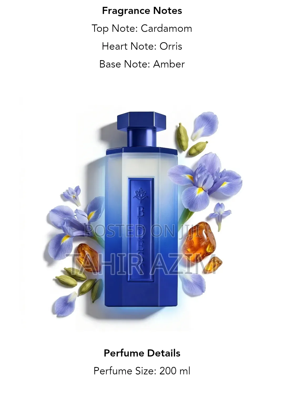 Reef Bluest