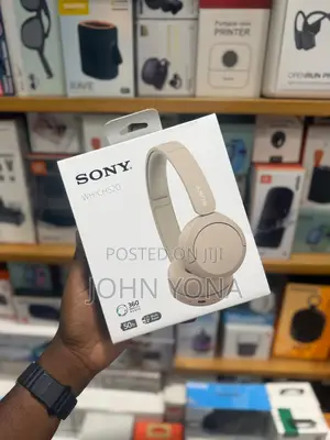 Sony Wh-Ch520 Bluetooth Headset