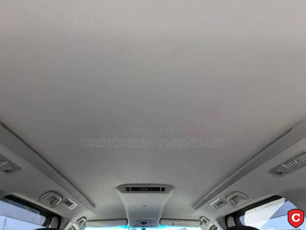 Toyota Alphard 2009 Pearl
