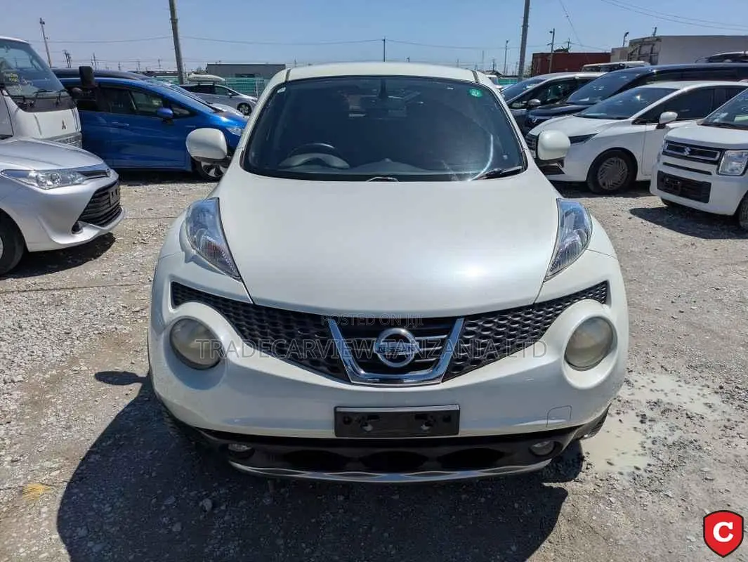 Nissan Juke S 2011 Pearl