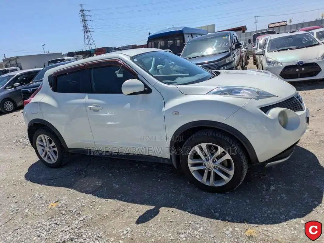 Nissan Juke S 2011 Pearl