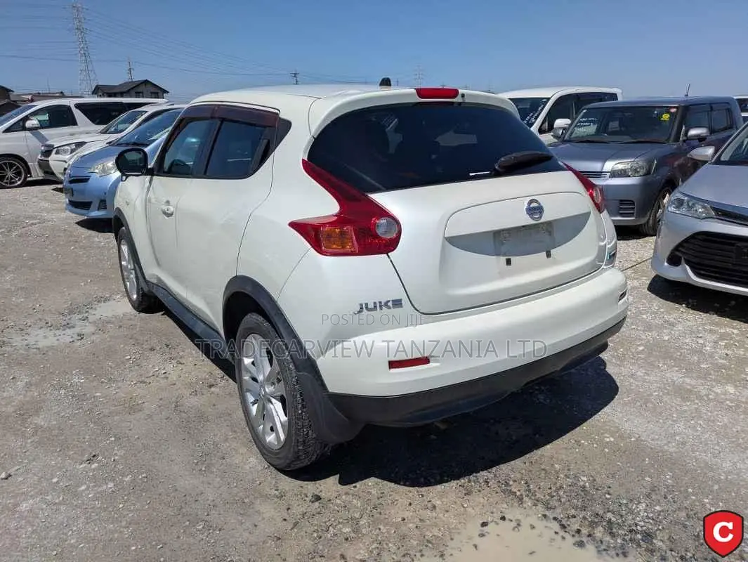 Nissan Juke S 2011 Pearl