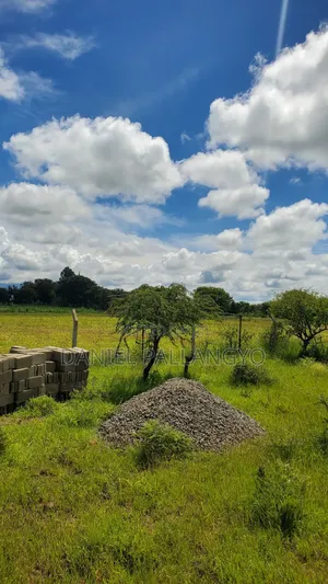 Kaa Kijanja East Africa Bdoo Unaeweza Ekeza Na Ukafanikiwa