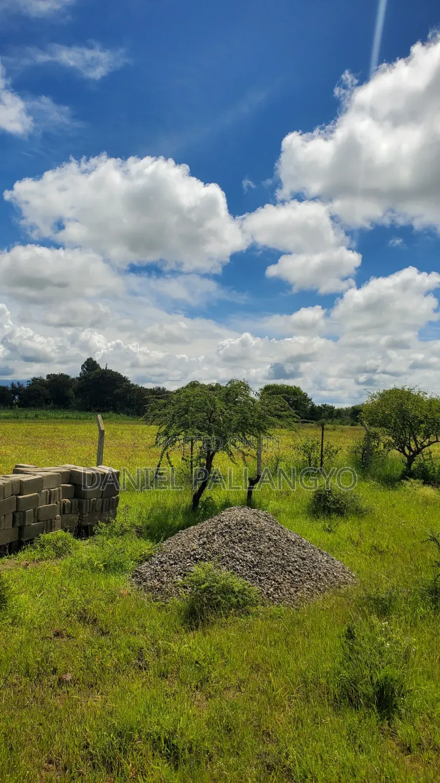 Kaa Kijanja East Africa Bdoo Unaeweza Ekeza Na Ukafanikiwa
