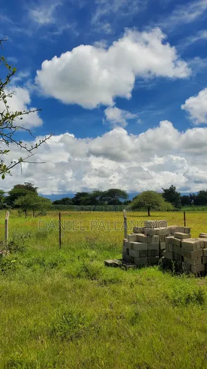 Kaa Kijanja East Africa Bdoo Unaeweza Ekeza Na Ukafanikiwa
