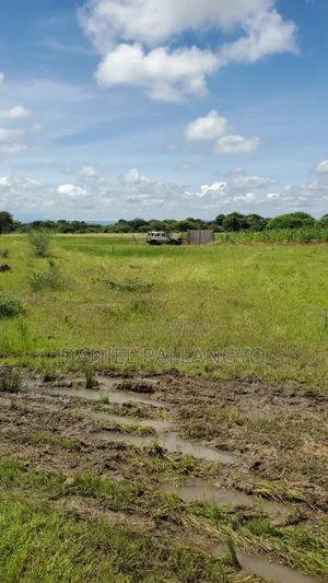Kaa Kijanja East Africa Bdoo Unaeweza Ekeza Na Ukafanikiwa
