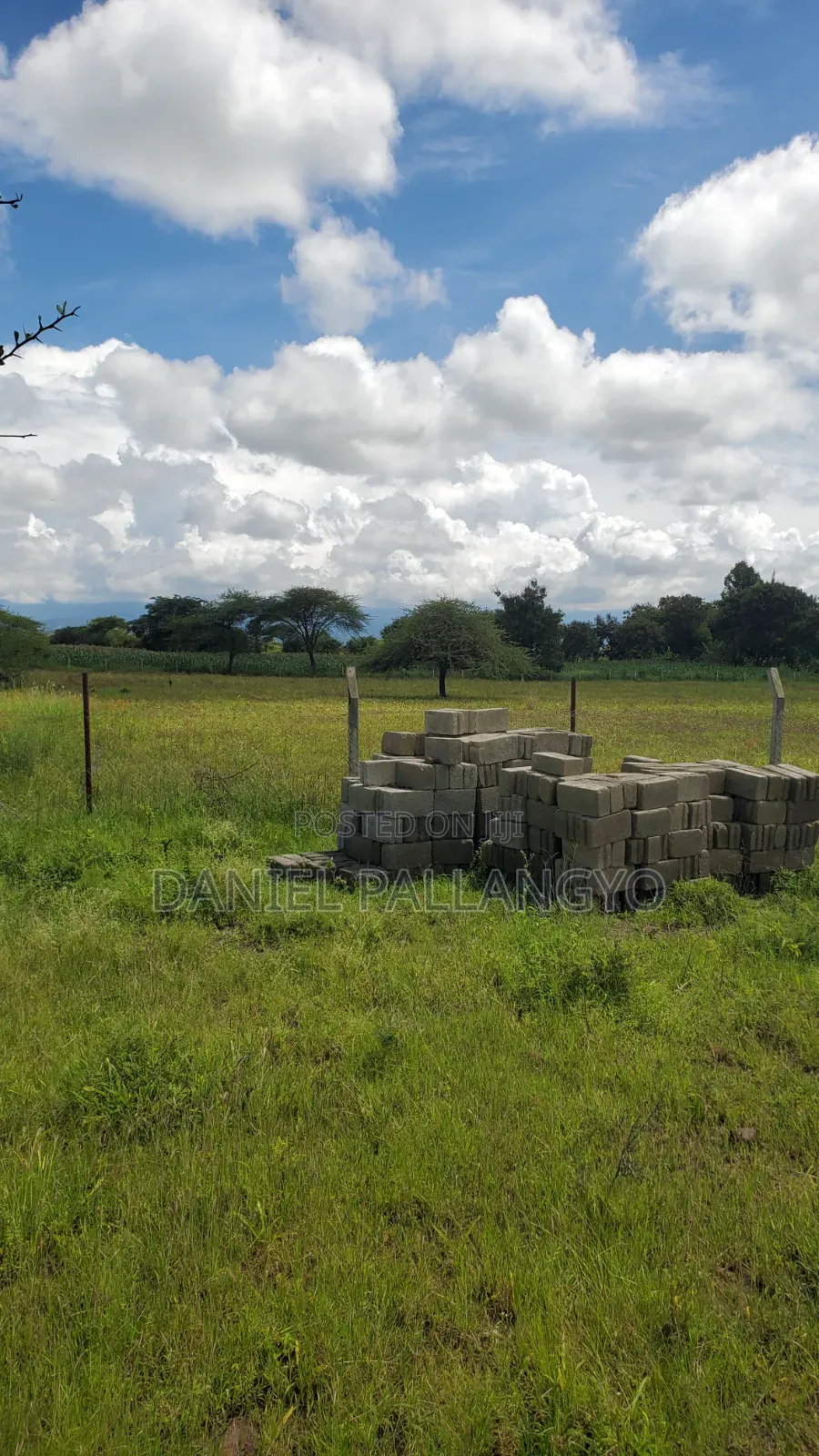 Waaa Unaachaje Kuekeza East Africa Boss Wangu