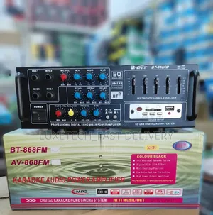 Teli Bt-868fm Professional Digital Echo Mixer Power Amplifier