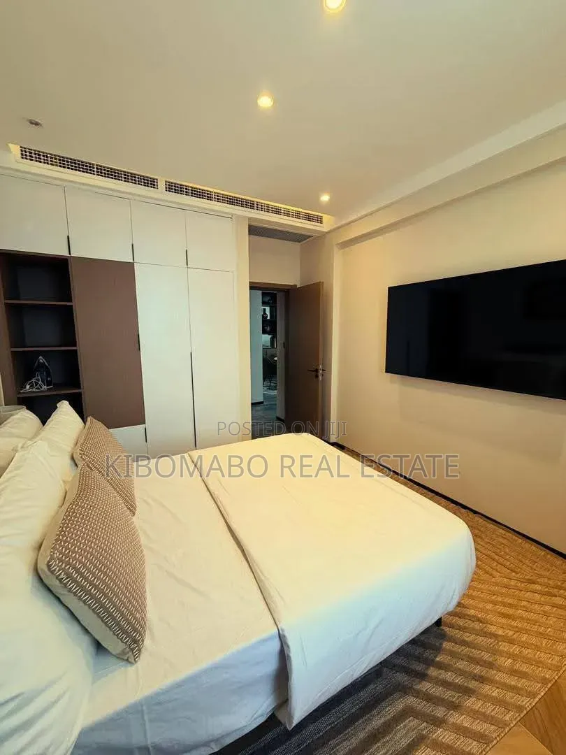 Furnished 3bdrm Apartment in Masaki for rent