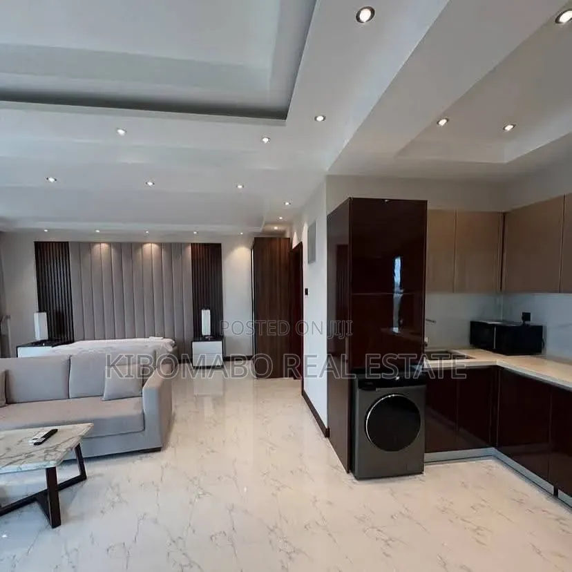 Furnished Studio Apartment in Masaki for rent
