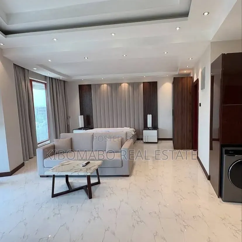 Furnished Studio Apartment in Masaki for rent
