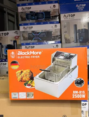 Blackark Electric Deep Fryer 10 Liters