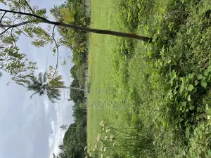 Prime Land for Sale at Kigamboni
