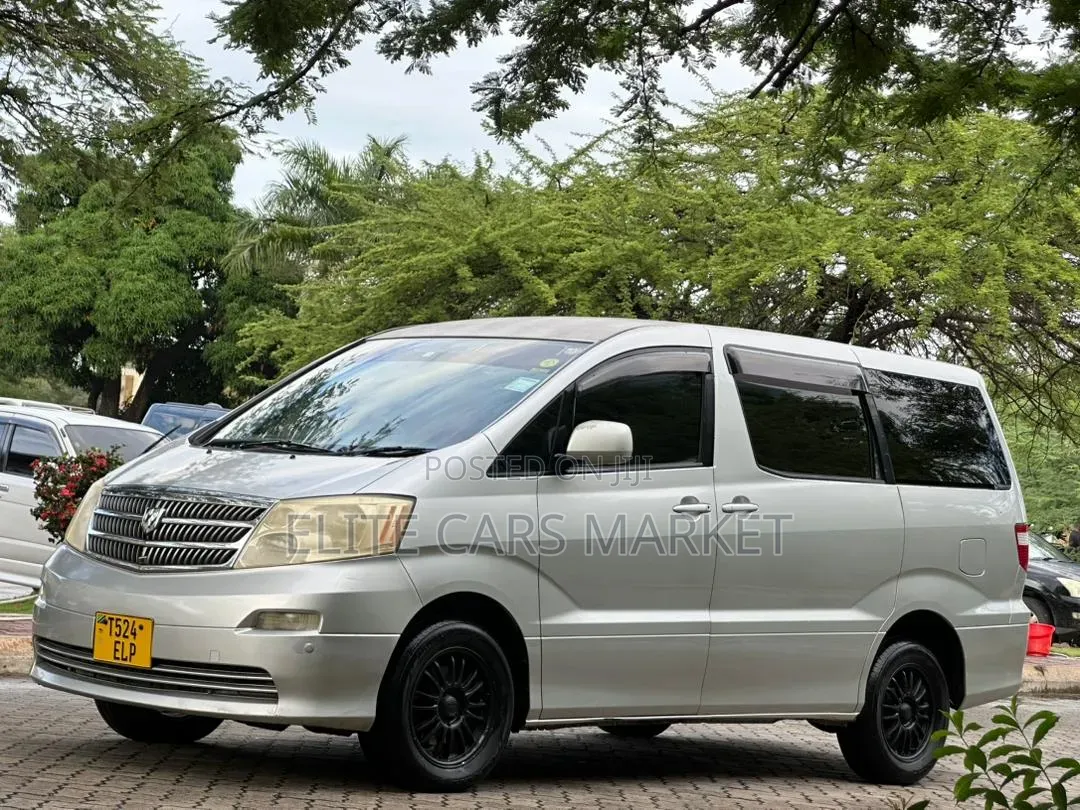 Toyota Alphard 2004 Gray