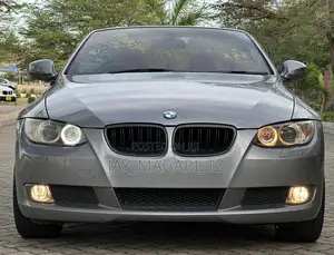 BMW 3 Series 2010 Gray