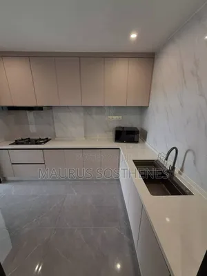 Furnished 3bdrm Apartment in Masaki for rent