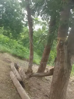 Viwanja Vizuri Mbezi Makabe