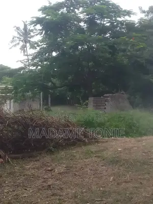 Viwanja Vizuri Mbezi Makabe