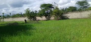 Plot for Sale in Njiro-Arusha,The United Republic of Tanzania