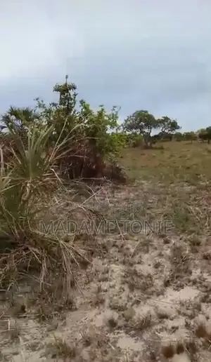 Kigamboni Buyuni Kiwanja Kizuri