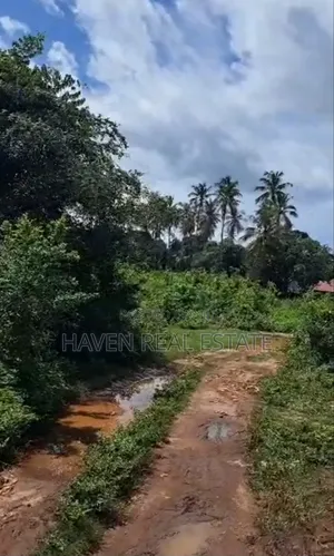 Plot for Sale at Kombeni Zanzibar
