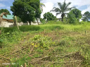 Godown Area SQM 2000 for Rent TSH 10,000,000ml at Sinza Mori