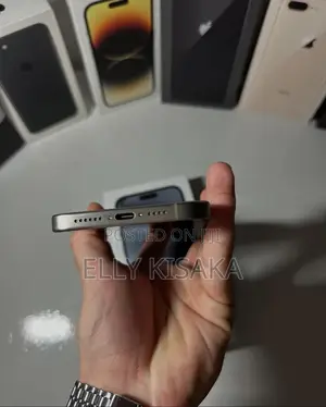 New Apple iPhone 15 Pro Max 256 GB Silver