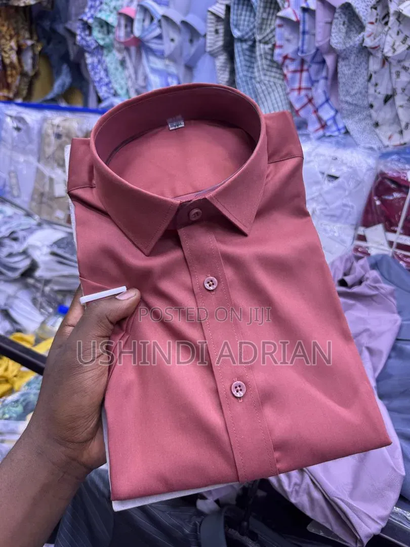 Daniel Classic Cotton Collection Bei 35,000tu