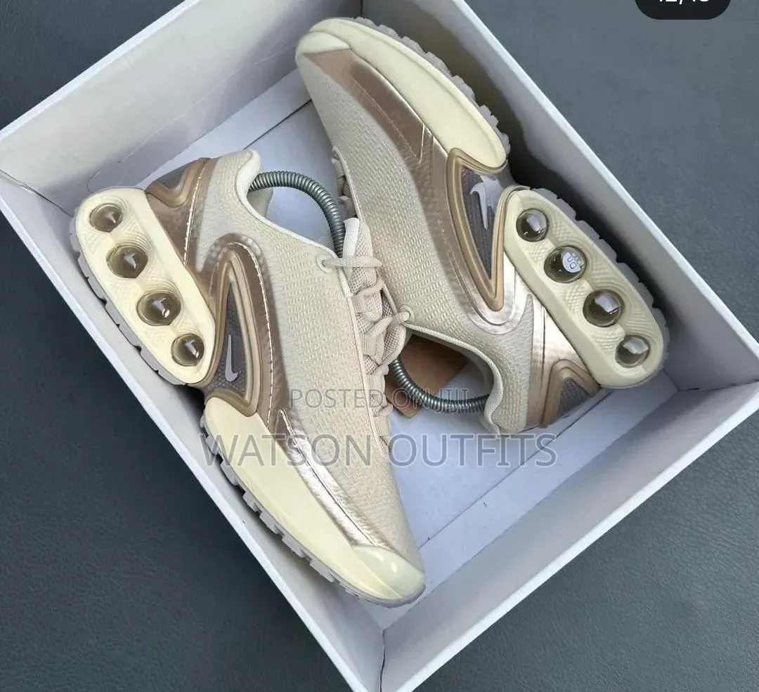 Men's Leather Sneakers or Shoes Nike or Airmax Nike Basically Nice