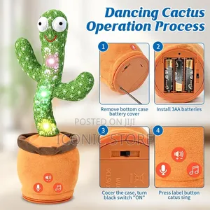 Cactus Toy
