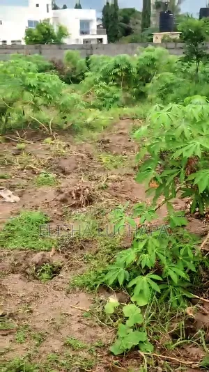 Plot for Sale at Kibada