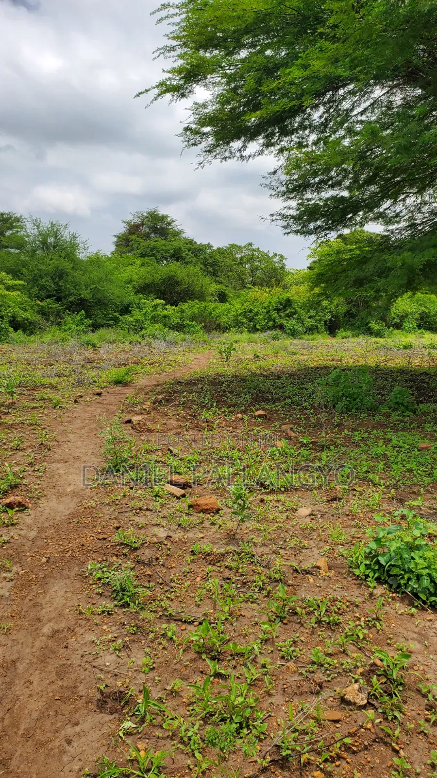 East Africa 20×30 Its 5.5m Only