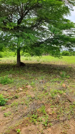 East Africa 20×30 Its 5.5m Only