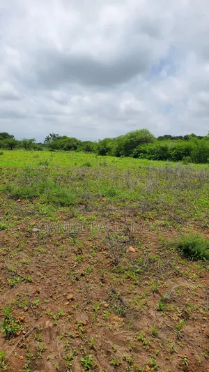 East Africa 20×30 Its 5.5m Only