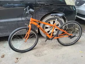 Mountain Bicycle