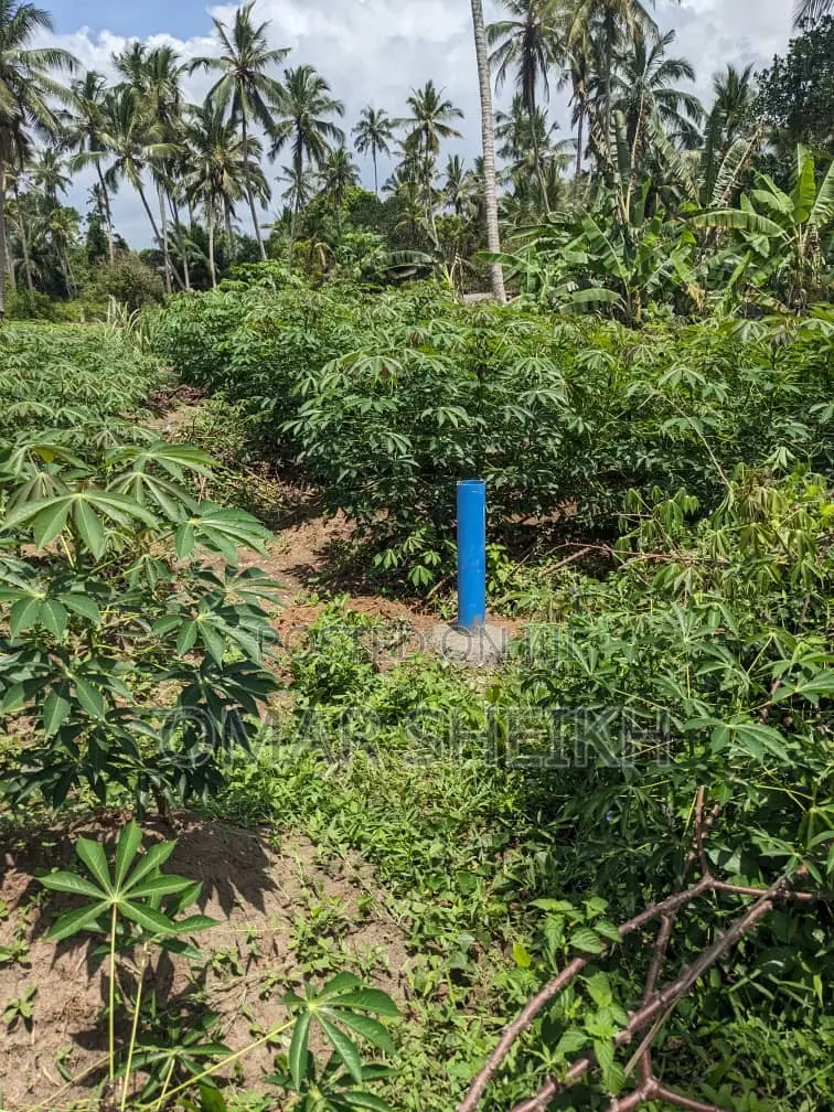 Mashamba (Farms)