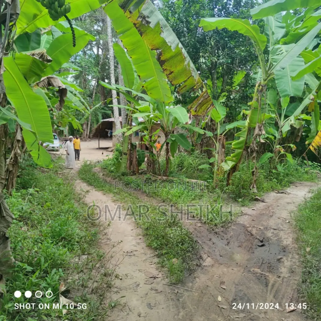 Mashamba (Farms)