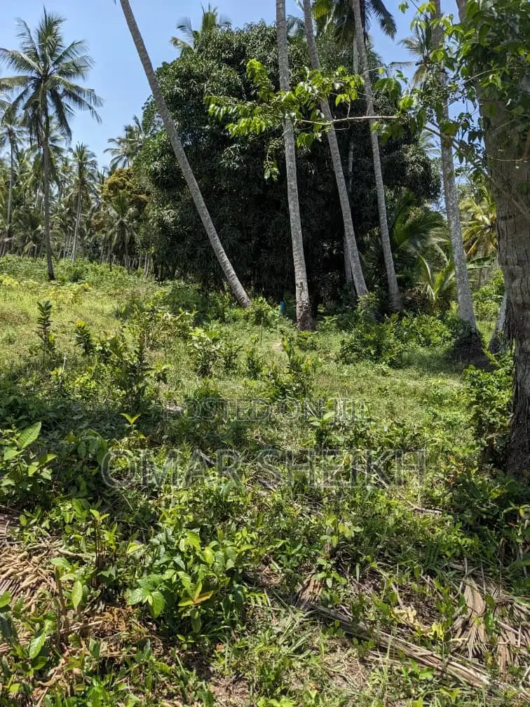 Mashamba (Farms)