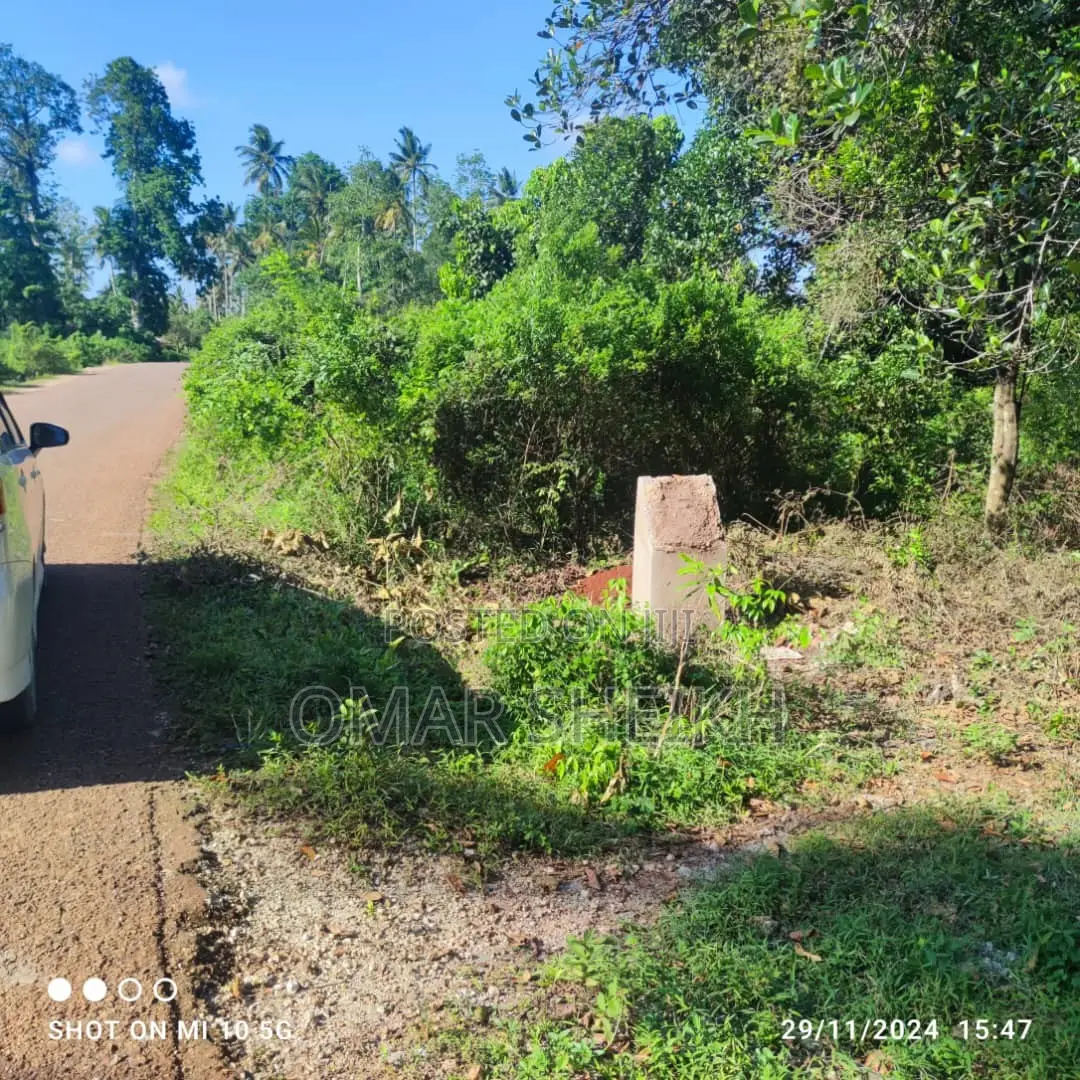 Mashamba (Farms)