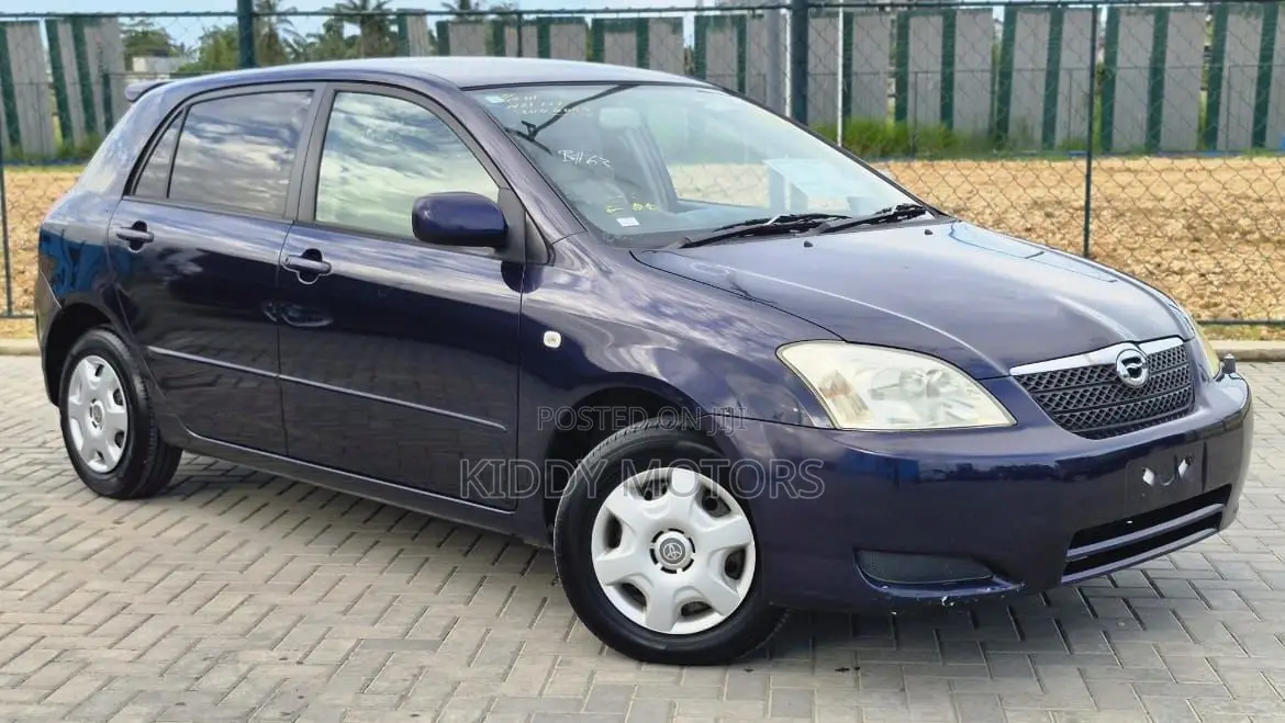 Toyota Corolla RunX 2004 Blue