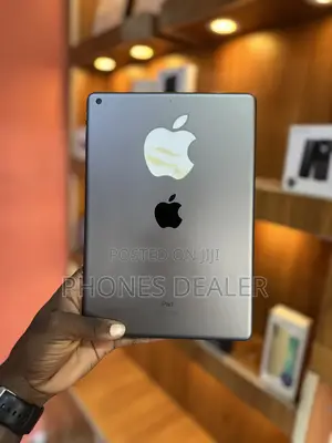 Apple iPad Air 64 GB Gray