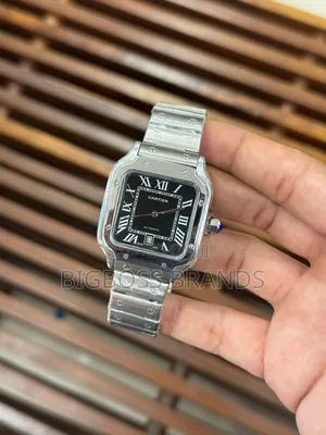 New Cartier Santos