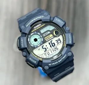 Casio Ws-1500h-2avdf