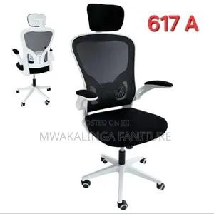 Egnomic Chair