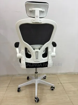 Egnomic Chair
