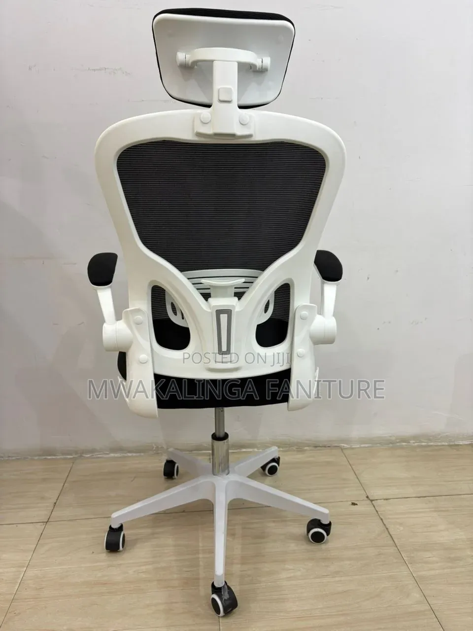 Egnomic Chair